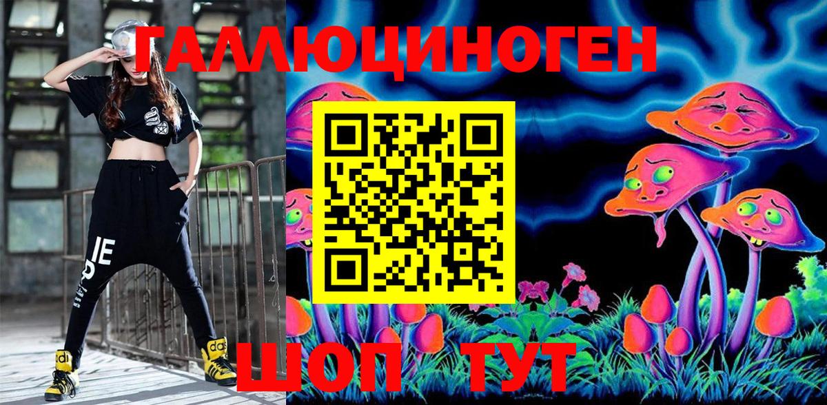 Псилоцибиновые грибы Psilocybe Трёхгорный