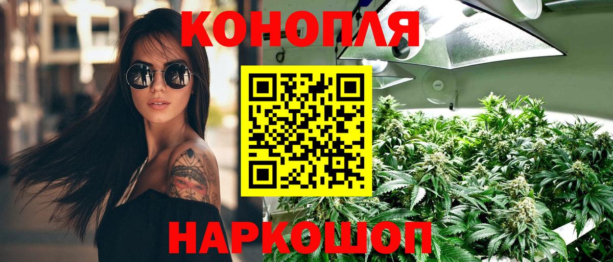 Трёхгорный  Бошки Шишки планчик  Марихуана сатива  Конопля Amnesia  Канабис Amnesia  Вход с VPN 